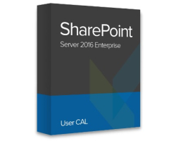 Microsoft SharePoint Server 2016 Enterprise User CAL ESD elektronička licenca